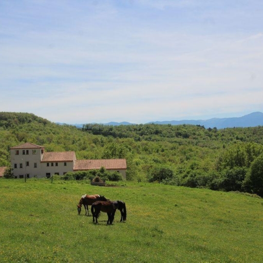 DEMEURES MAISONS PATRIMOINE : Domaines / Propriétés | LIMOUX (11300) | 750.00m2 | 1 380 000 € 