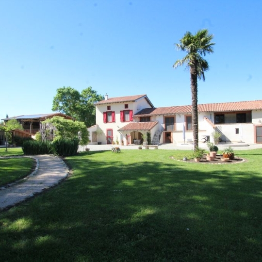  DEMEURES MAISONS PATRIMOINE : Domaines / Propriétés | PAMIERS (09100) | 363 m2 | 688 000 € 