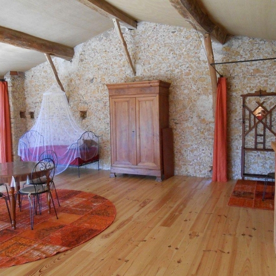  DEMEURES MAISONS PATRIMOINE : Domaines / Propriétés | PAMIERS (09100) | 363 m2 | 688 000 € 