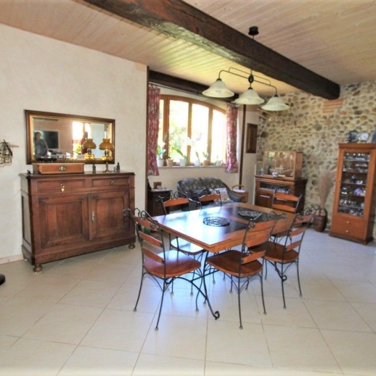  DEMEURES MAISONS PATRIMOINE : Domaines / Propriétés | PAMIERS (09100) | 363 m2 | 688 000 € 
