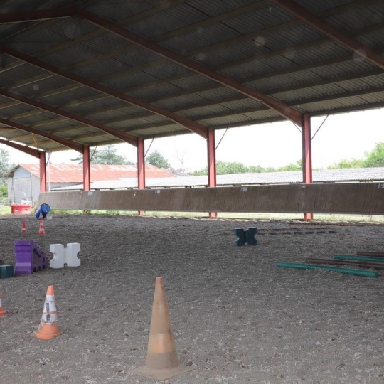 DEMEURES MAISONS PATRIMOINE : Domaines / Propriétés | CONDOM (32100) | 440 m2 | 1 150 000 € 