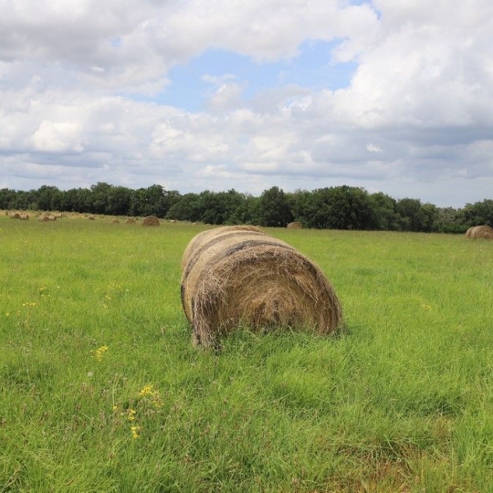  DEMEURES MAISONS PATRIMOINE : Domaines / Propriétés | CONDOM (32100) | 440 m2 | 1 150 000 € 