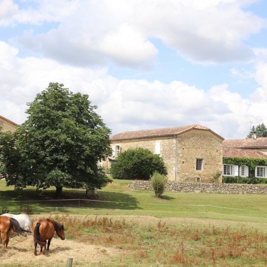  DEMEURES MAISONS PATRIMOINE : Domaines / Propriétés | CONDOM (32100) | 440 m2 | 1 150 000 € 