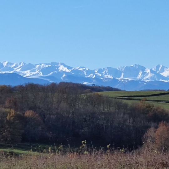  DEMEURES MAISONS PATRIMOINE : Domaines / Propriétés | PAMIERS (09100) | 200 m2 | 367 000 € 