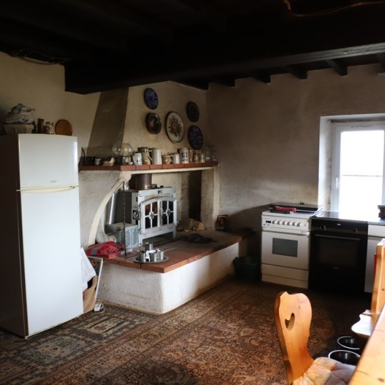  DEMEURES MAISONS PATRIMOINE : Domaines / Propriétés | PAMIERS (09100) | 200 m2 | 367 000 € 