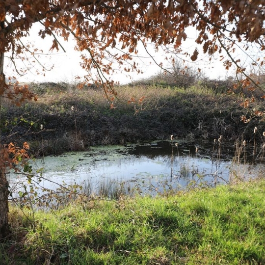  DEMEURES MAISONS PATRIMOINE : Domaines / Propriétés | PAMIERS (09100) | 200 m2 | 367 000 € 