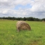  DEMEURES MAISONS PATRIMOINE : Domaines / Propriétés | CONDOM (32100) | 440 m2 | 1 150 000 € 