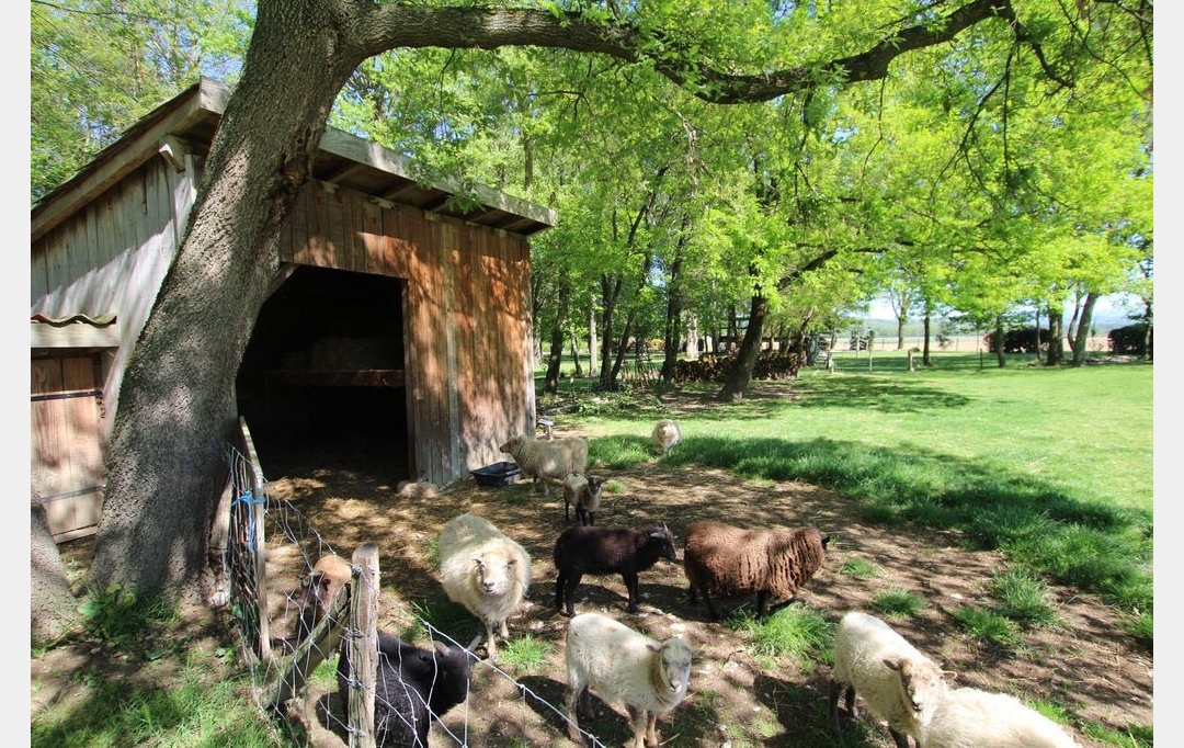 DEMEURES MAISONS PATRIMOINE : Domaines / Propriétés | PAMIERS (09100) | 363 m2 | 688 000 € 