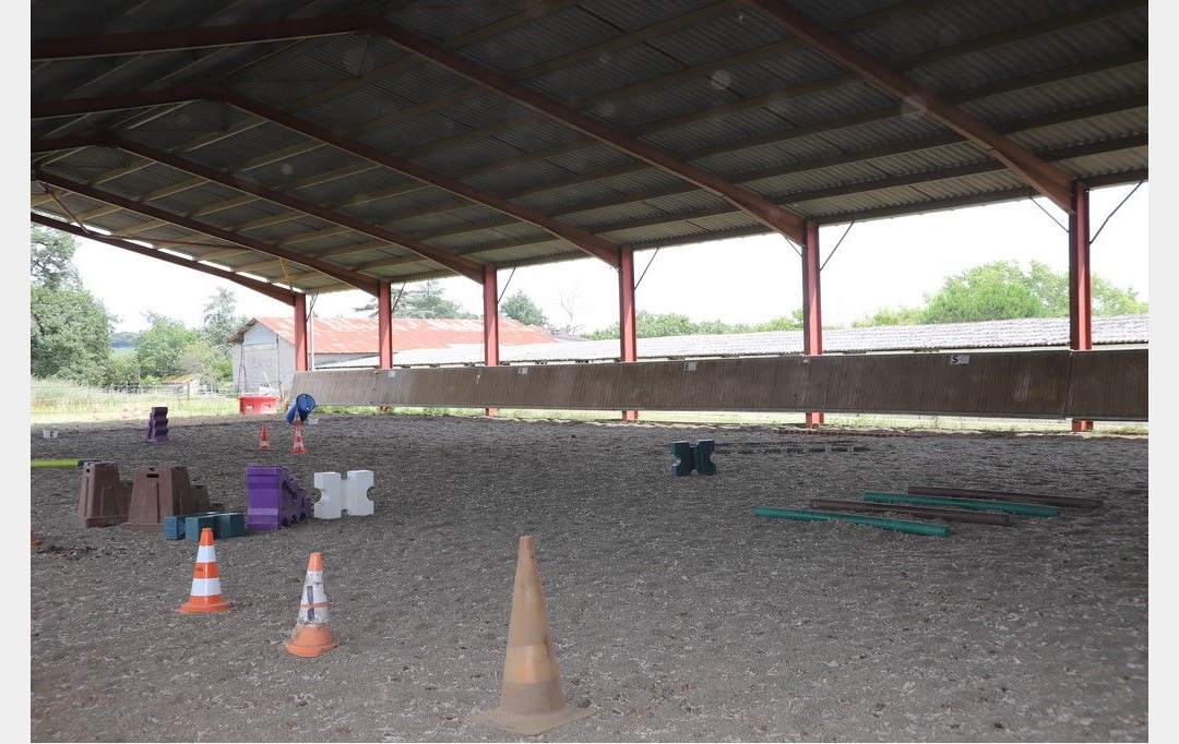 DEMEURES MAISONS PATRIMOINE : Domaines / Propriétés | CONDOM (32100) | 440 m2 | 1 150 000 € 