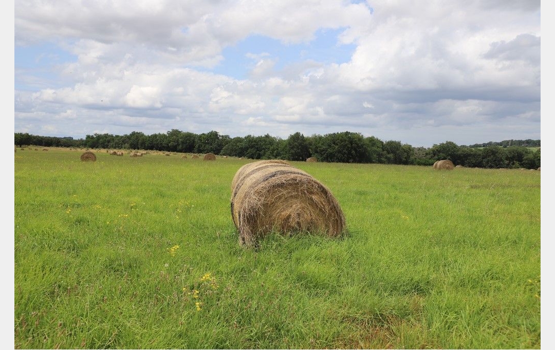 DEMEURES MAISONS PATRIMOINE : Domaines / Propriétés | CONDOM (32100) | 440 m2 | 1 150 000 € 