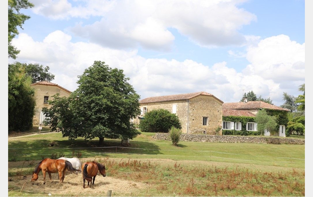 DEMEURES MAISONS PATRIMOINE : Domaines / Propriétés | CONDOM (32100) | 440 m2 | 1 150 000 € 