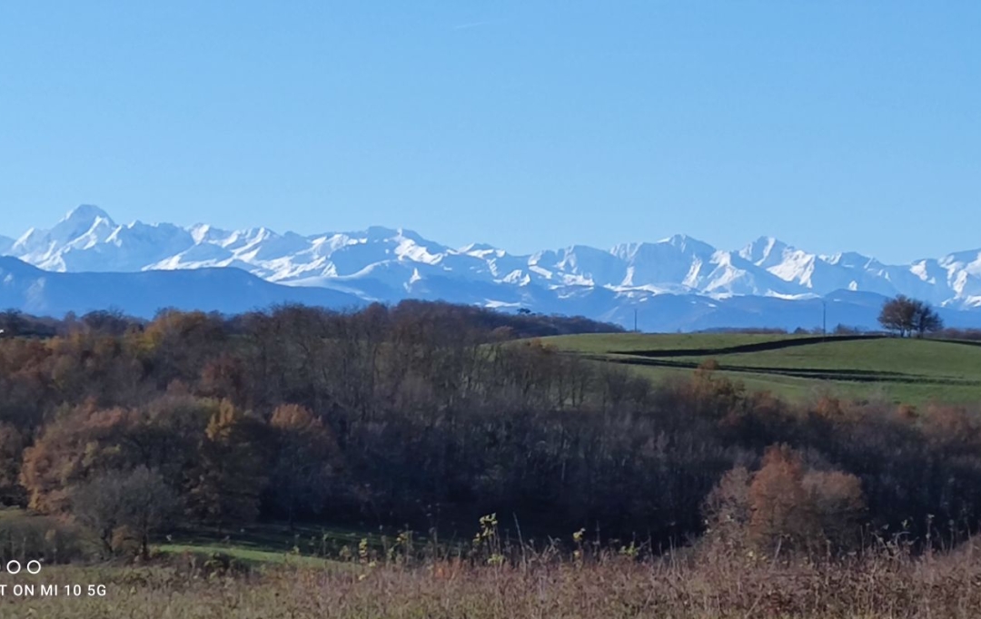 DEMEURES MAISONS PATRIMOINE : Domaines / Propriétés | PAMIERS (09100) | 200 m2 | 367 000 € 