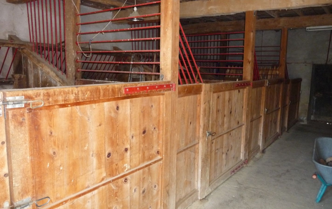 DEMEURES MAISONS PATRIMOINE : Domaines / Propriétés | PAMIERS (09100) | 200 m2 | 367 000 € 