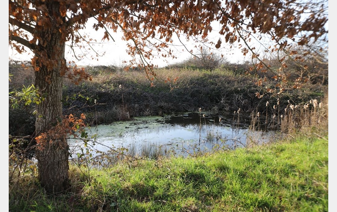 DEMEURES MAISONS PATRIMOINE : Domaines / Propriétés | PAMIERS (09100) | 200 m2 | 367 000 € 