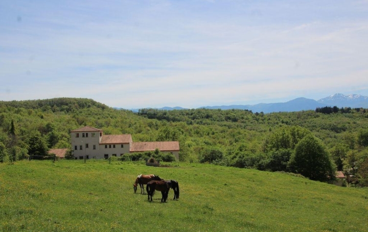  DEMEURES MAISONS PATRIMOINE Domaines / Propriétés | LIMOUX (11300) | 750 m2 | 1 380 000 € 