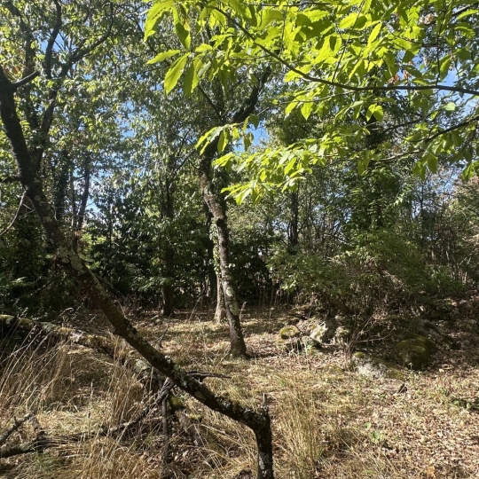  Annonces VERNIOLLE : Terrain | MONTGAILLARD (09330) | 0 m2 | 116 000 &euro; 