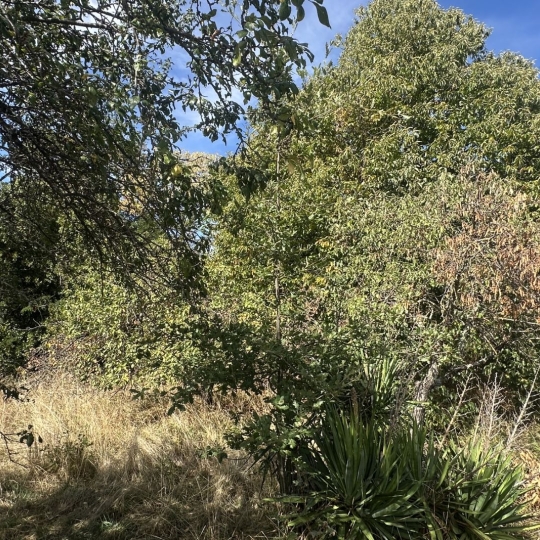  Annonces VERNIOLLE : Terrain | MONTGAILLARD (09330) | 0 m2 | 116 000 &euro; 