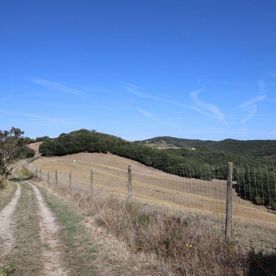  DEMEURES MAISONS PATRIMOINE : Domaines / Propriétés | CARCASSONNE (11000) | 557 m2 | 1 590 000 € 