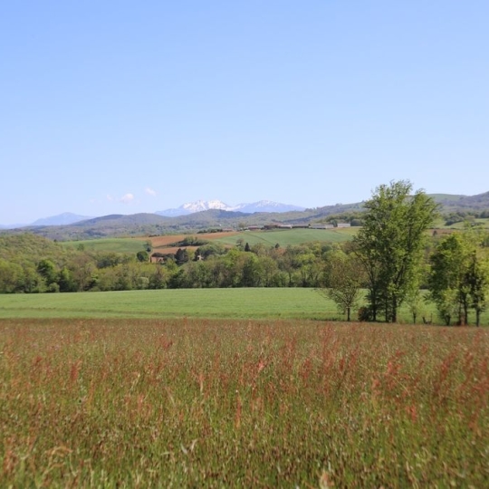  DEMEURES MAISONS PATRIMOINE : Domaines / Propriétés | PAMIERS (09100) | 214 m2 | 520 000 € 