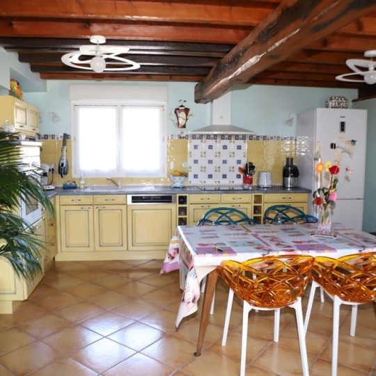  DEMEURES MAISONS PATRIMOINE : Domaines / Propriétés | PAMIERS (09100) | 214 m2 | 520 000 € 