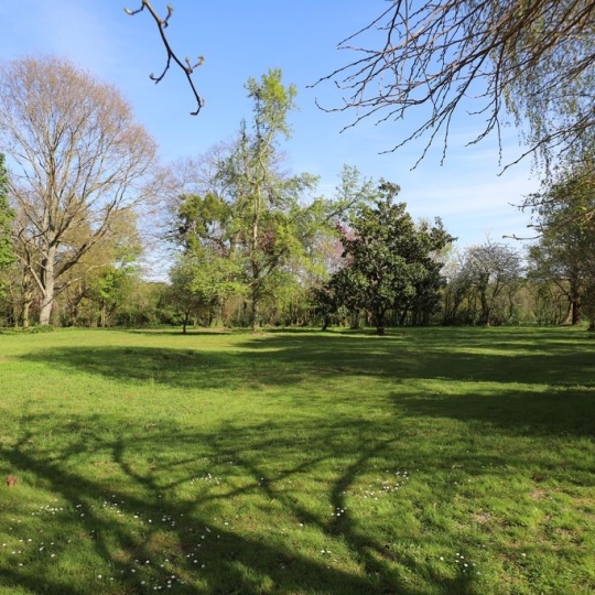  DEMEURES MAISONS PATRIMOINE : Domain / Estate | PAMIERS (09100) | 427 m2 | 320 000 € 