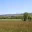  DEMEURES MAISONS PATRIMOINE : Domaines / Propriétés | PAMIERS (09100) | 214 m2 | 520 000 € 