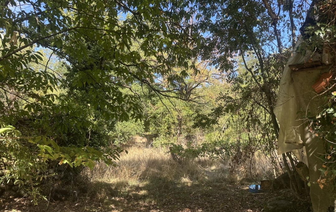 Annonces VERNIOLLE : Terrain | MONTGAILLARD (09330) | 0 m2 | 116 000 &euro; 