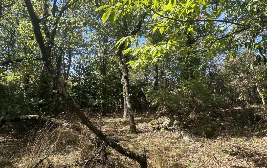 Annonces VERNIOLLE : Terrain | MONTGAILLARD (09330) | 0 m2 | 116 000 &euro; 