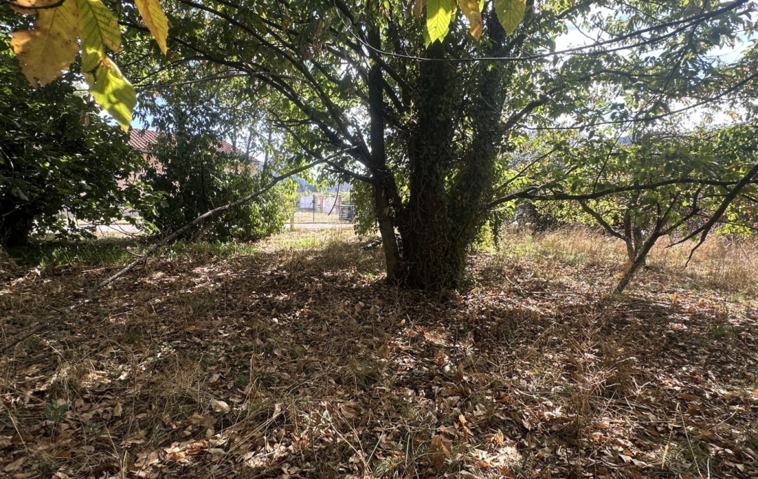 Annonces VERNIOLLE : Terrain | MONTGAILLARD (09330) | 0 m2 | 116 000 &euro; 