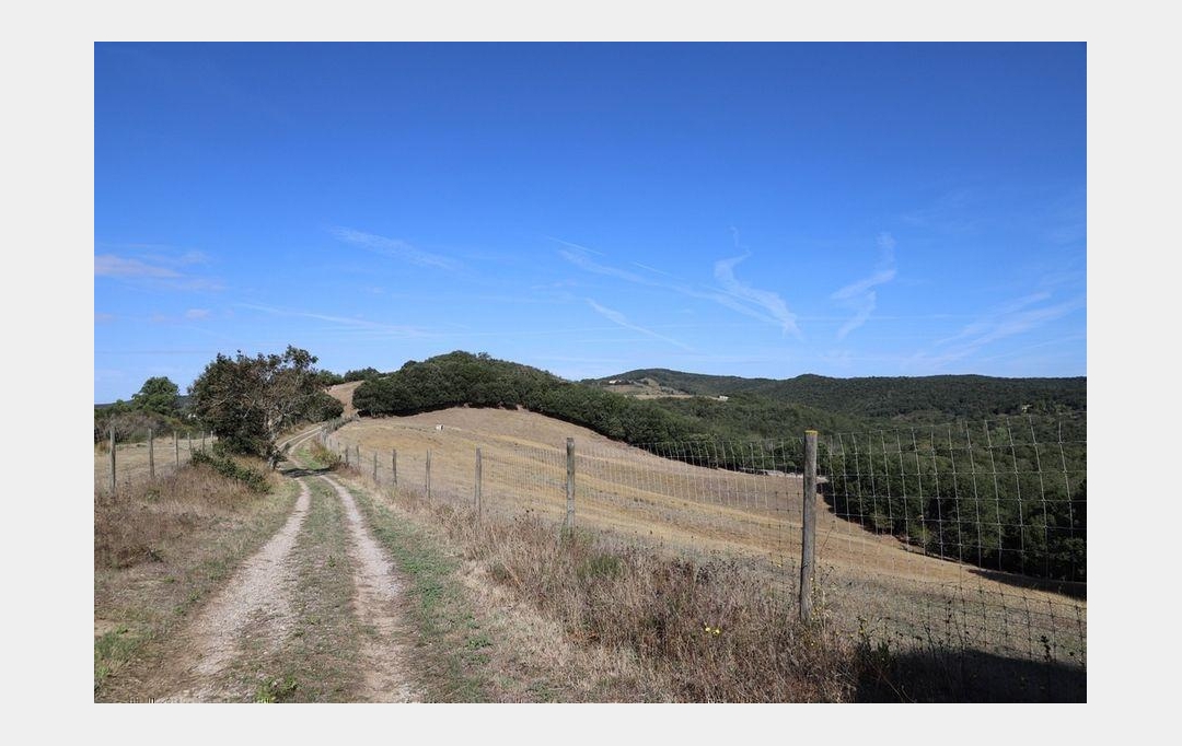 DEMEURES MAISONS PATRIMOINE : Domaines / Propriétés | CARCASSONNE (11000) | 557 m2 | 1 590 000 € 