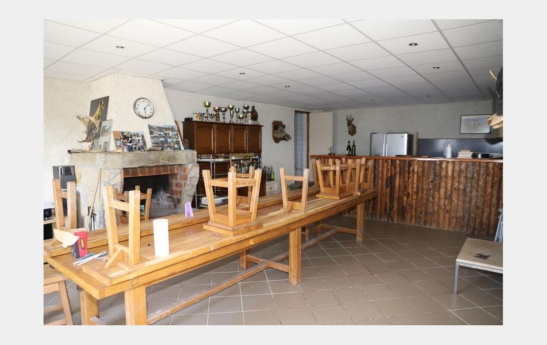 DEMEURES MAISONS PATRIMOINE : Domaines / Propriétés | CARCASSONNE (11000) | 557 m2 | 1 590 000 € 