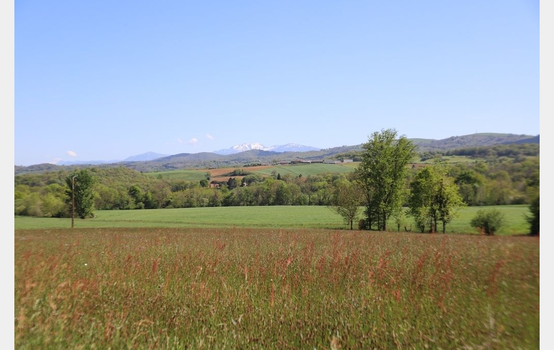 DEMEURES MAISONS PATRIMOINE : Domaines / Propriétés | PAMIERS (09100) | 214 m2 | 520 000 € 