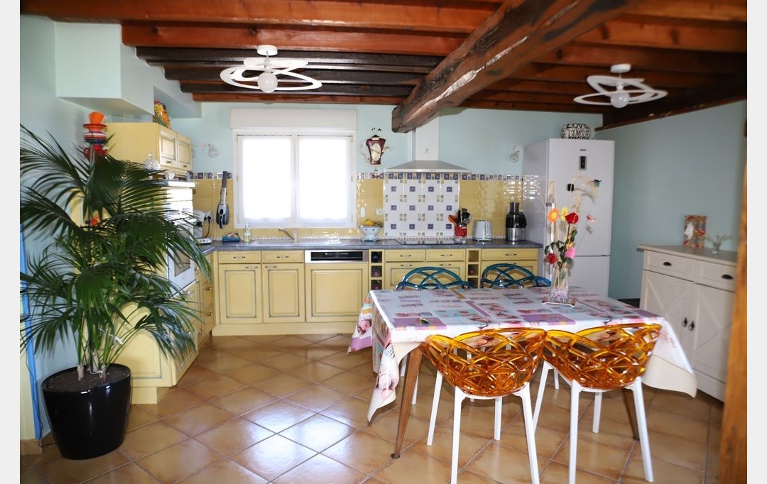 DEMEURES MAISONS PATRIMOINE : Domaines / Propriétés | PAMIERS (09100) | 214 m2 | 520 000 € 
