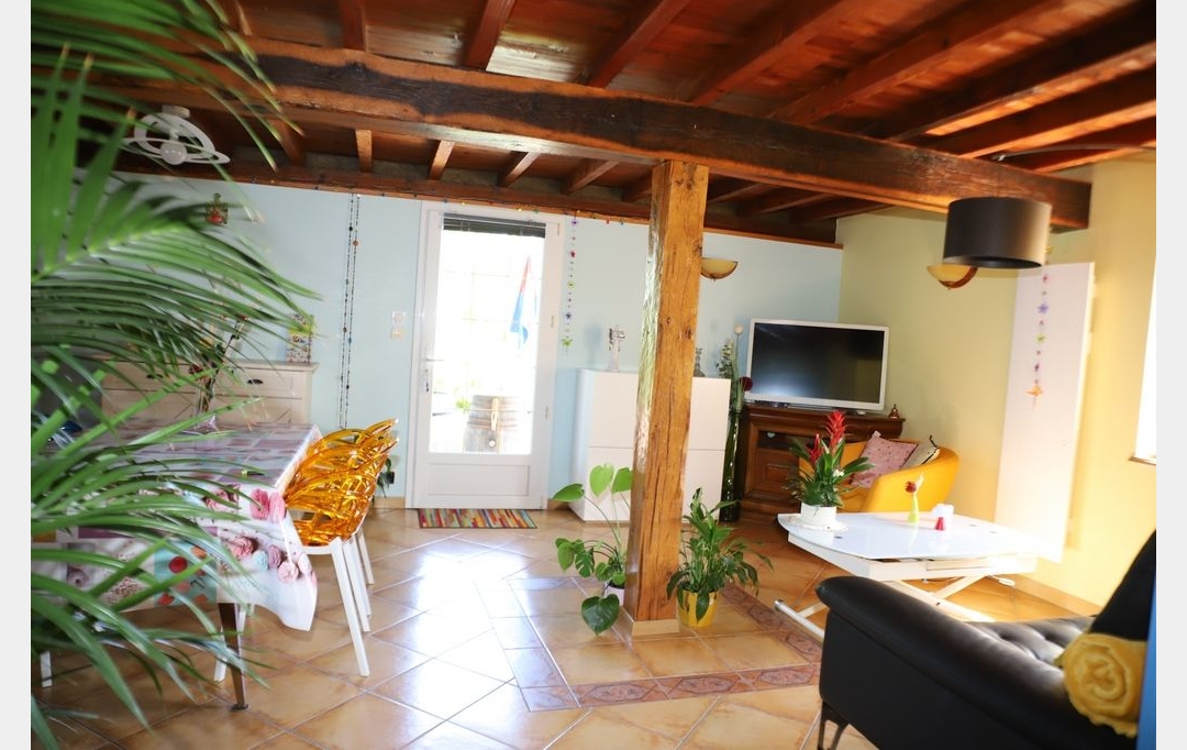 DEMEURES MAISONS PATRIMOINE : Domaines / Propriétés | PAMIERS (09100) | 214 m2 | 520 000 € 