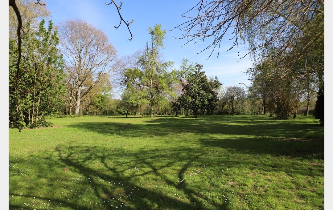 DEMEURES MAISONS PATRIMOINE : Domain / Estate | PAMIERS (09100) | 427 m2 | 320 000 € 