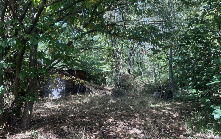 Terrain   MONTGAILLARD   116 000 € 